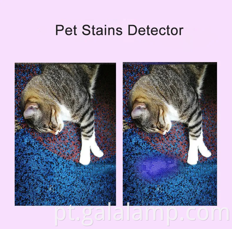 Lanterna UV portátil de 365nm com Blacklight recarregável e 5 modos